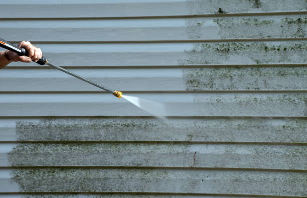 Best Certified Mold Removal  in Fort Lewis, WA