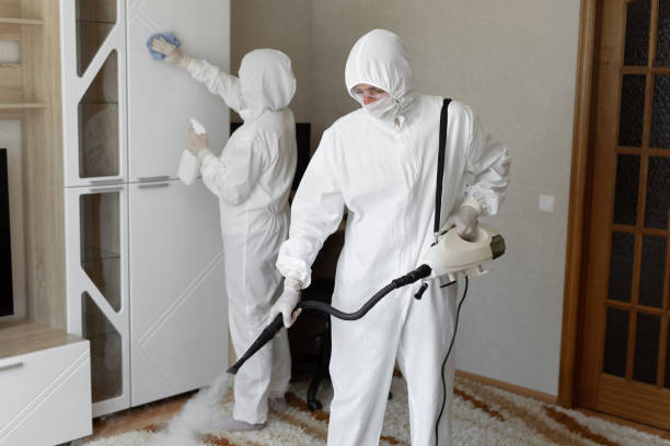 Best Water Damage Restoration  in Fort Lewis, WA